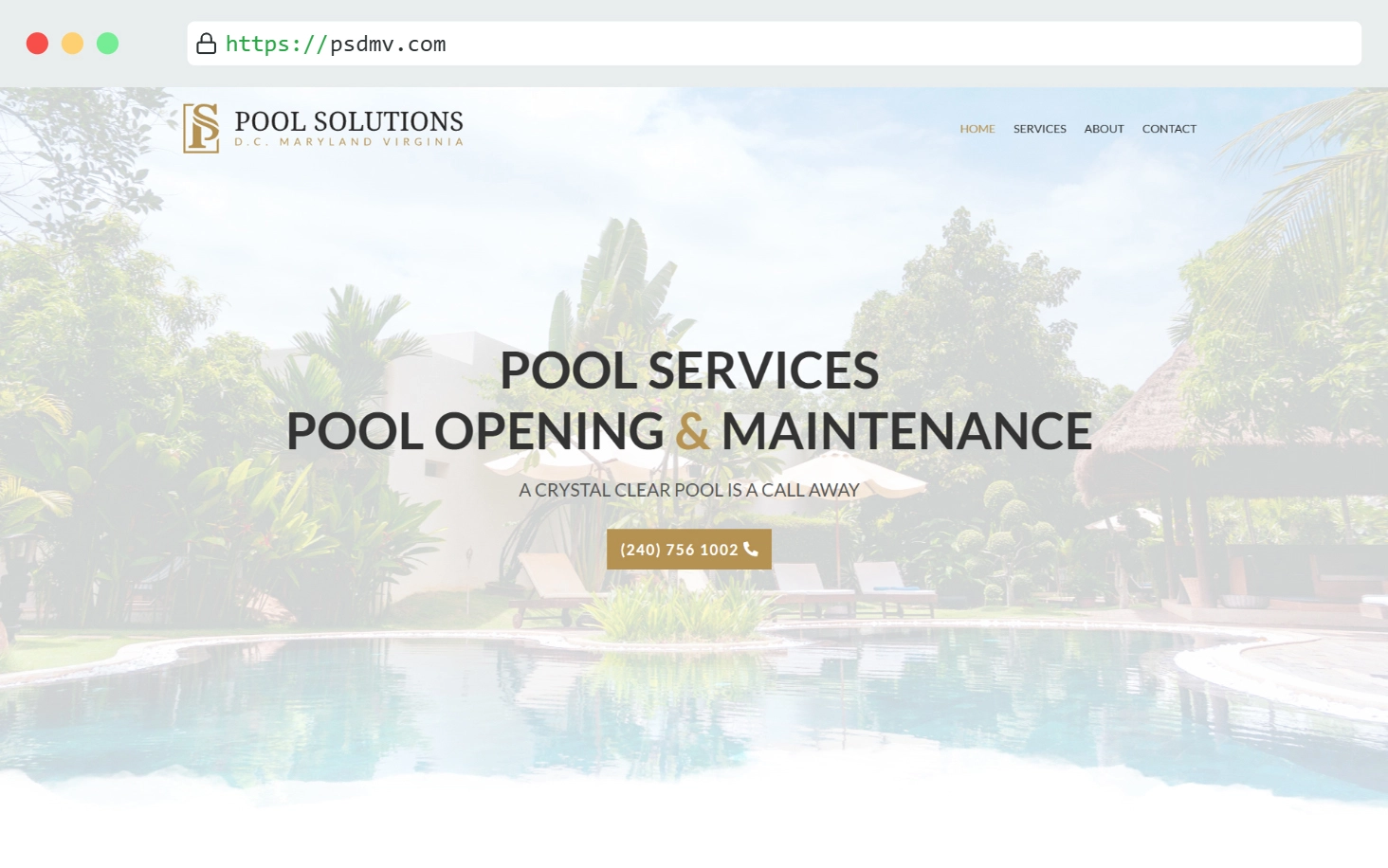 pool solutions dmv website design