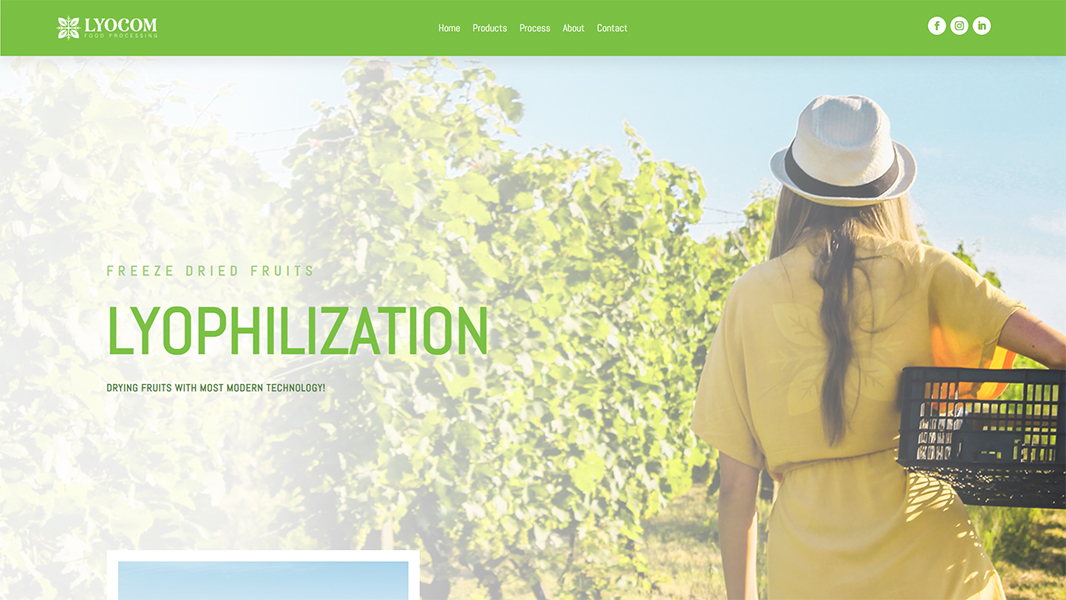 lyocom.rs - web design custom website built for responsiveness, performance and seamless user interaction