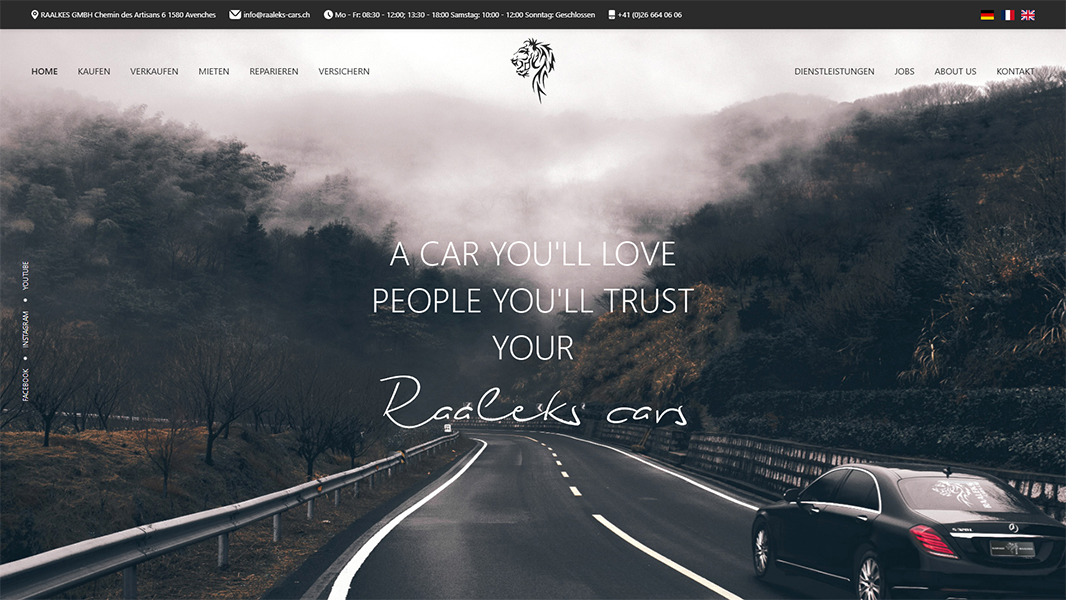 reaaleks cars website design